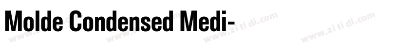 Molde Condensed Medi字体转换